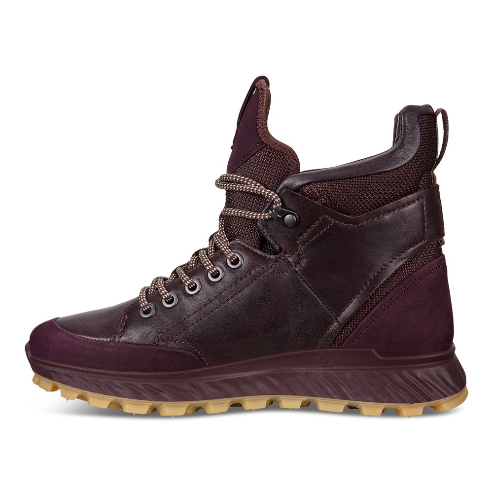 Botas Mujer - ECCO Exostrike Shinebright - Vino - FCI083195